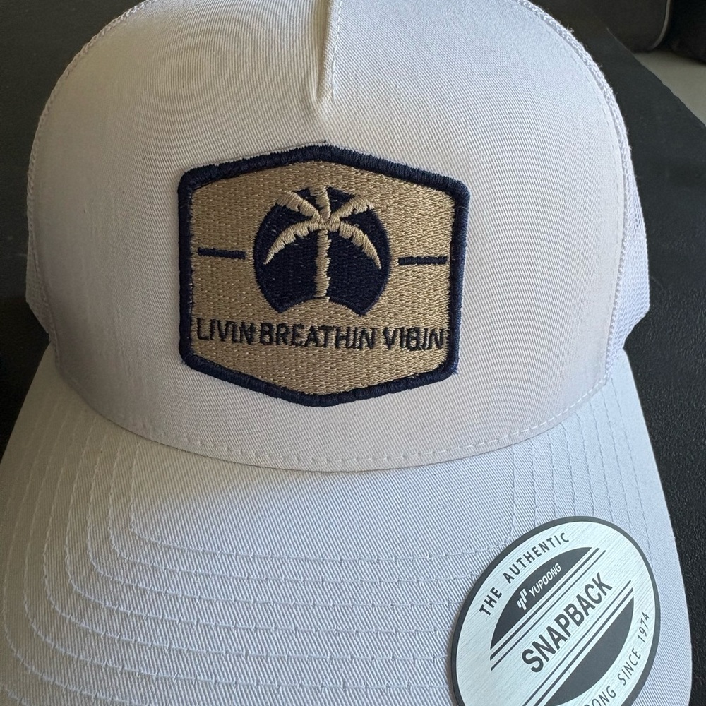 The Classic Tan and Navy Snapback Hat